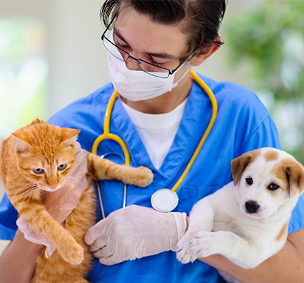 Veterinario con 2 Mascotas para el Seguro para Mascotas